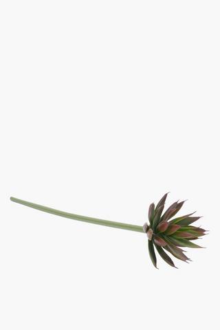 Succulent Single Stem, 65cm