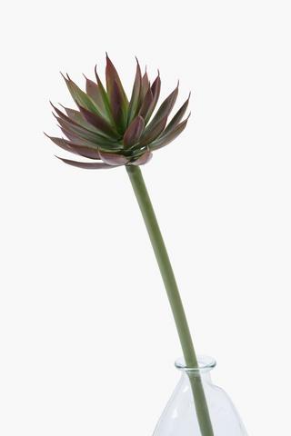 Succulent Single Stem, 65cm