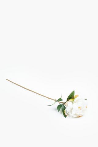 Rose Single Stem, 72cm