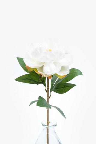 Rose Single Stem, 72cm