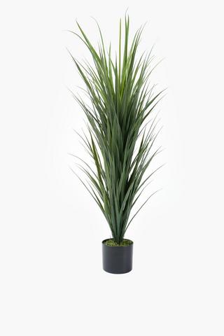 Pineapple Spike In Plastic Pot, 14x120cm
