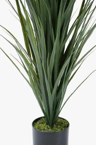 Pineapple Spike In Plastic Pot, 14x120cm