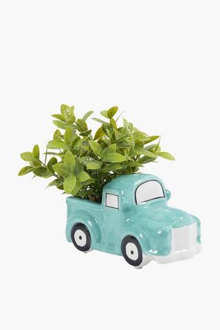 Greenery In Van Pot, 17x20cm