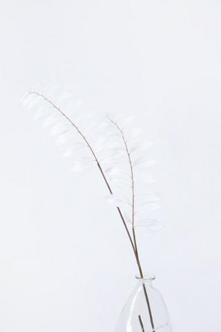 Fern Leaf Single Stem, 109cm