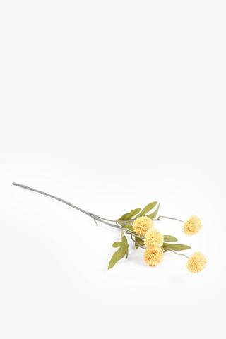 Dandy Single Stem, 52cm