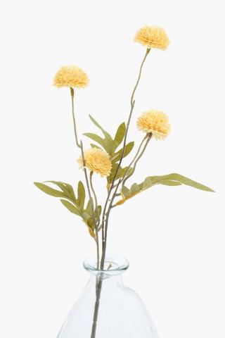 Dandy Single Stem, 52cm