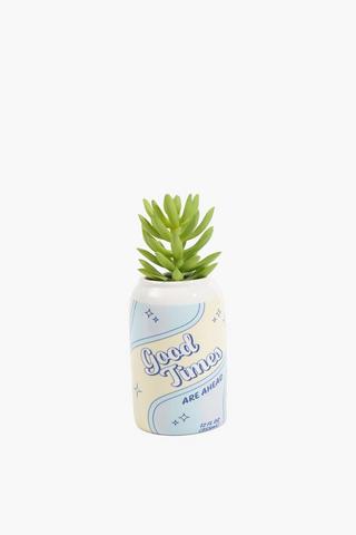 Succulent In Soda Pop Pot, 7x11.5cm