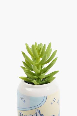Succulent In Soda Pop Pot, 7x11.5cm