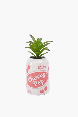 Succulent In Cherry Pop Pot, 6x17cm