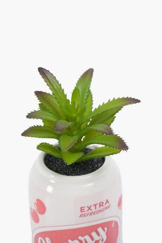 Succulent In Cherry Pop Pot, 6x17cm
