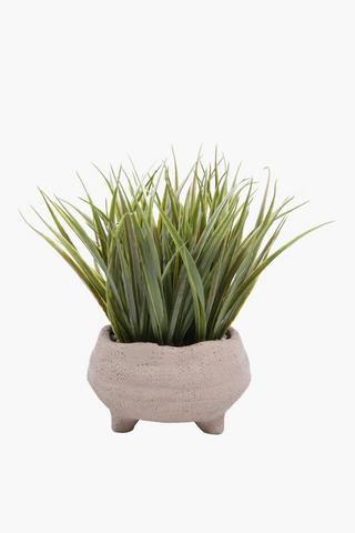 Grass In Organic Footed Pot, 10x28cm