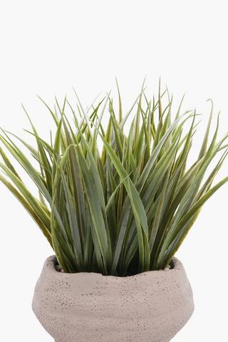 Grass In Organic Footed Pot, 10x28cm