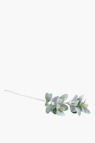 Lamb Ear Single Stem, 70cm