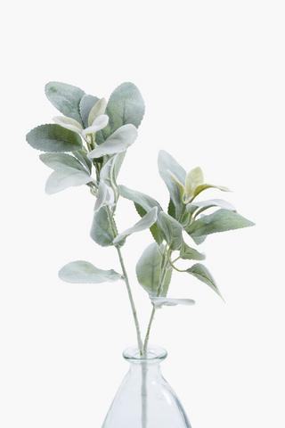 Lamb Ear Single Stem, 70cm