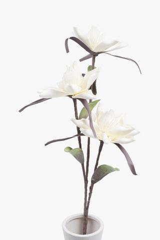 Foam Bloom Star Single Stem, 108cm