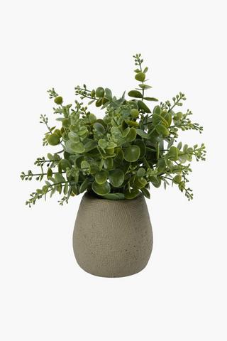 Greenery In Textured Pot, 12x31cm