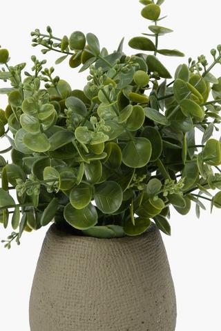Greenery In Textured Pot, 12x31cm