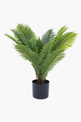 Fern Potted, 70cm