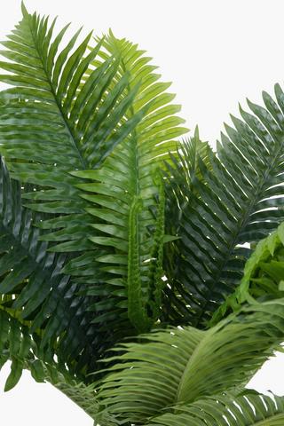 Fern Potted, 70cm