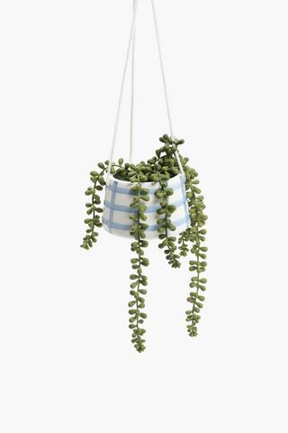 Hanging Donkey Tail In Check Pot, 13x13cm