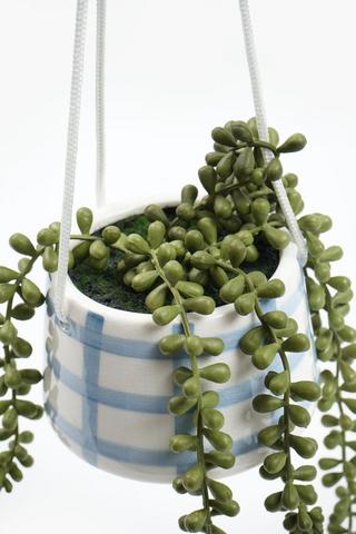 Hanging Donkey Tail In Check Pot, 13x13cm