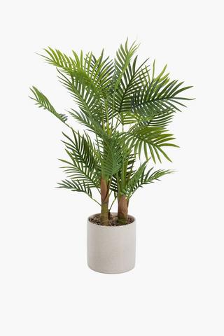 Palm Tree In Glaze Pot, 82cm