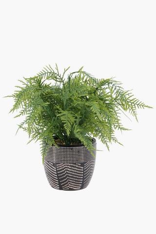 Fern In Geo Pot, 8x33cm