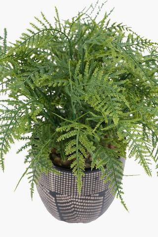 Fern In Geo Pot, 8x33cm