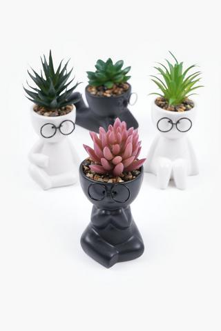 Assorted Succulent In Man Pot, 5x15cm
