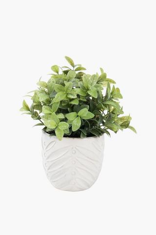 Greenery In Embossed Leaf Pot, 7x24cm