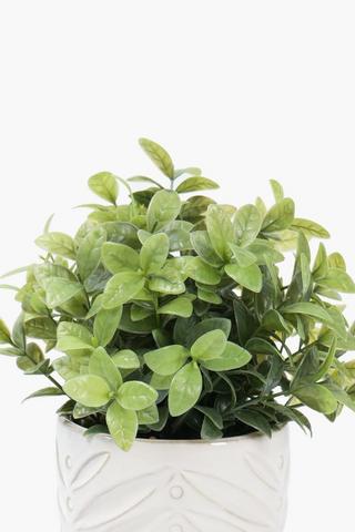 Greenery In Embossed Leaf Pot, 7x24cm