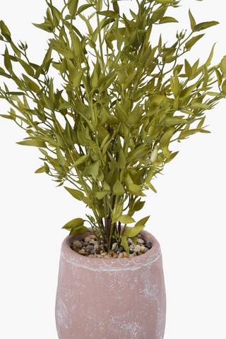 Fine Leaf In Terracotta Pot, 14.5x54cm