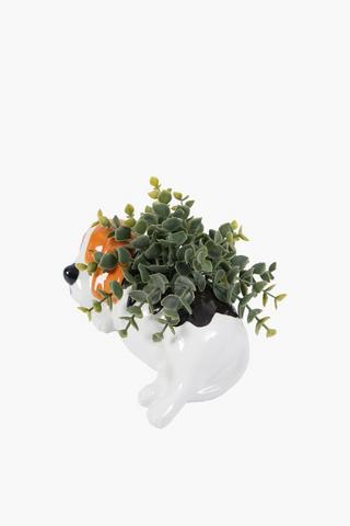 Greenery In Beagle Pot, 20x17cm