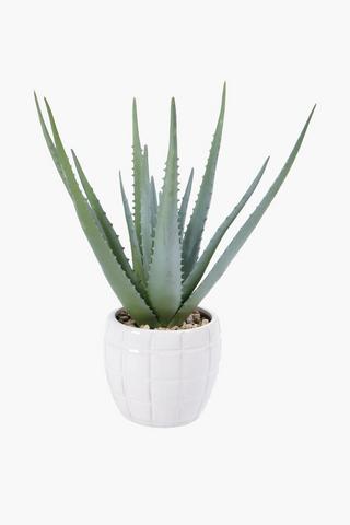 Aloe In Check Glaze Pot, 12.5x37cm