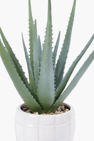 Aloe In Check Glaze Pot, 12.5x37cm