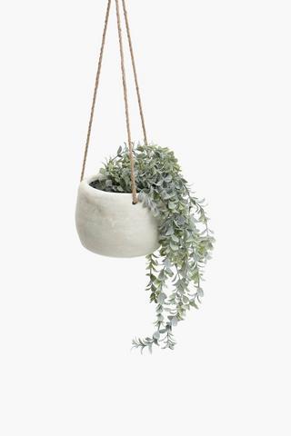 Hanging Succuelnt Trail In Cement Pot, 16.5x13.5cm