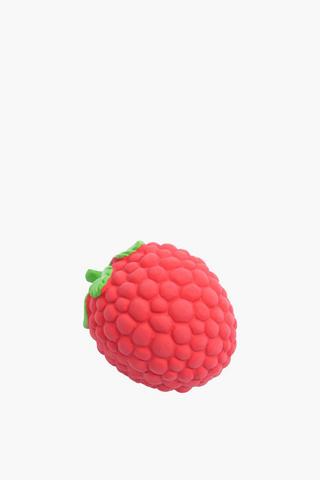 Squeaky Strawberry Pet Toy