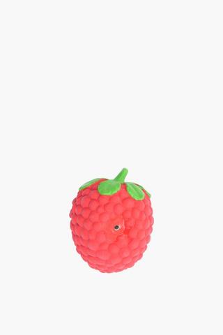 Squeaky Strawberry Pet Toy