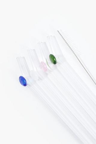 5 Piece Glass Straw Set