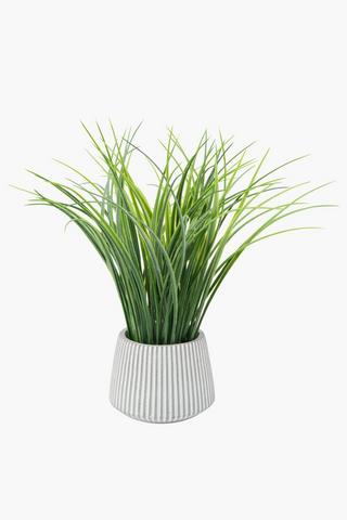 Grass In Ribbed Cement Pot, 11.5x30cm