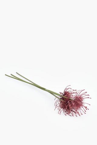 3 Pack Pincushion Single Stem, 50cm