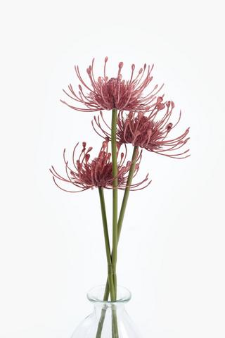 3 Pack Pincushion Single Stem, 50cm