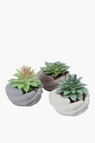 Assorted Succulents In Hands Pot, 6.5x7cm