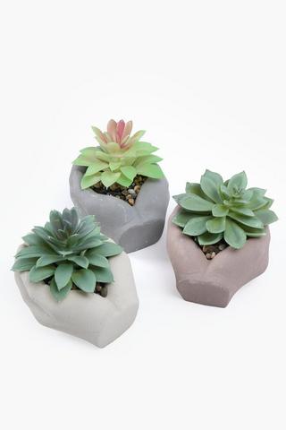 Assorted Succulents In Hands Pot, 6.5x7cm