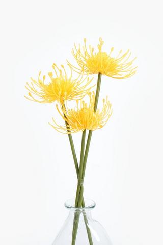 3 Pack Pincushion Single Stem, 50cm
