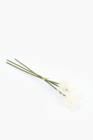 3 Pack Pincushion Single Stem, 50cm