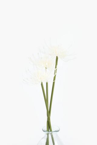 3 Pack Pincushion Single Stem, 50cm
