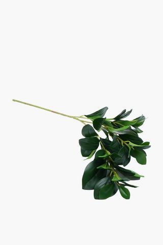 Evergreen Single Stem, 70cm