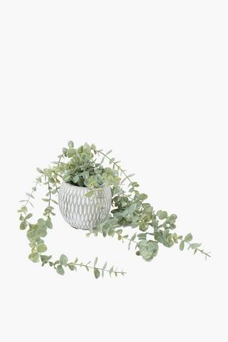 Trailing Gum Leaf Potted, 51x10cm
