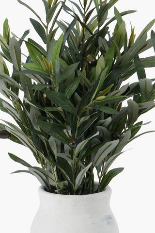 Olive Tree In Urn, 56cm